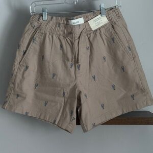 Hollister Beige Men's Shorts